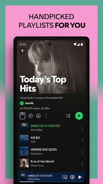 Screen